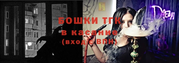 индика Беломорск
