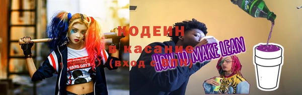 индика Беломорск