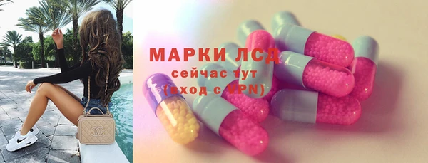 индика Беломорск