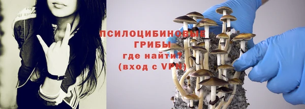 индика Беломорск