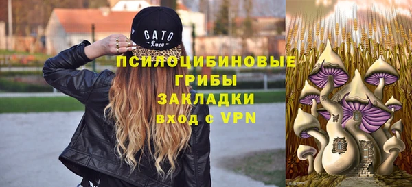 mix Белокуриха